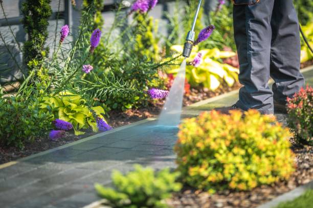 Best Deck and Patio Pressure Washing in Bon Aqua Junction, TN